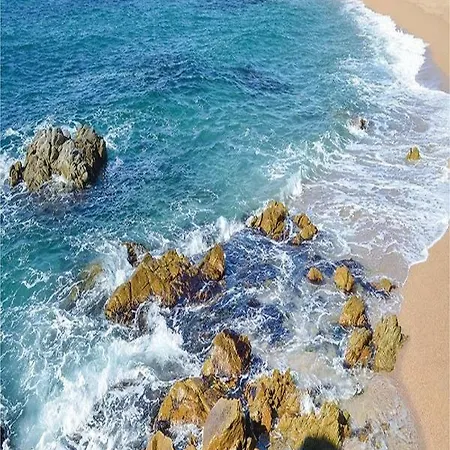 Apartamento La Del Paraiso *
