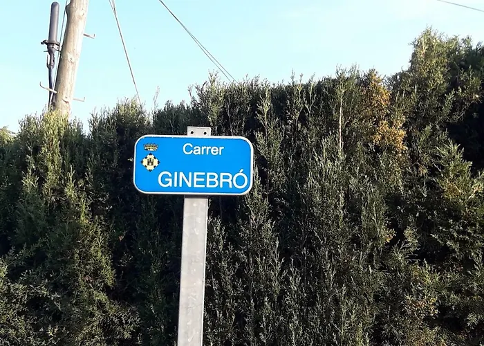 La Del Paraiso