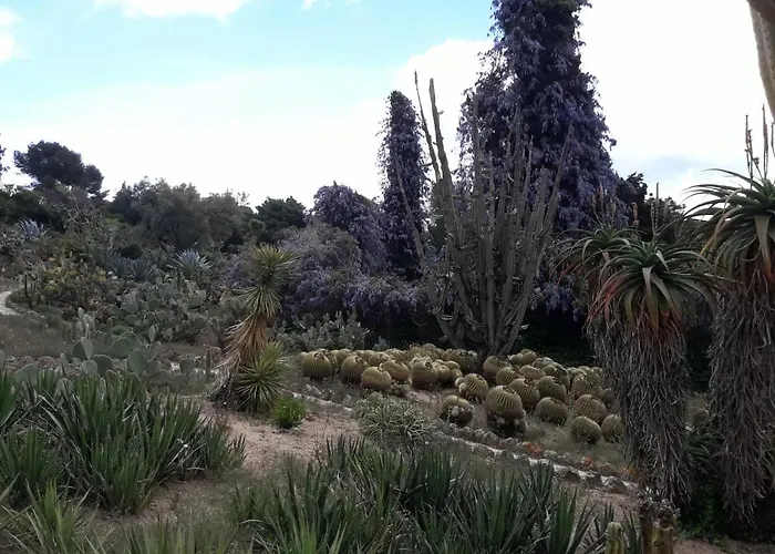 La Del Paraiso アパート
